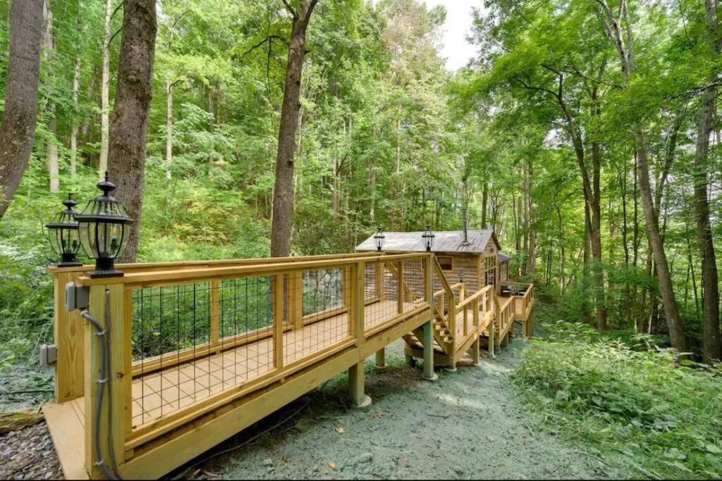 Outdoor Enthusiast'S Dream Cabin Hiking & Rafting Hot Springs Eksteriør billede